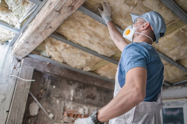 Best Insulation Inspection Services  in Lewiston, ME