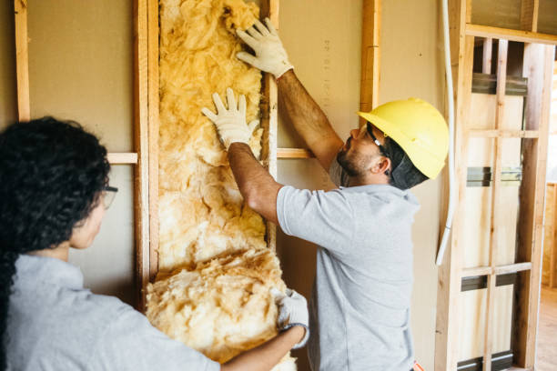 Best Insulation for New Construction  in Lewiston, ME